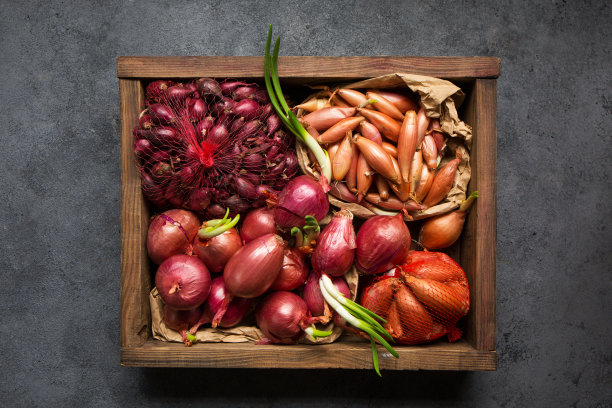 种植在木盒子里的品种洋葱，俯视图图片下载