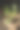 卷心菜幼苗在容器上的黑暗背景图片下载