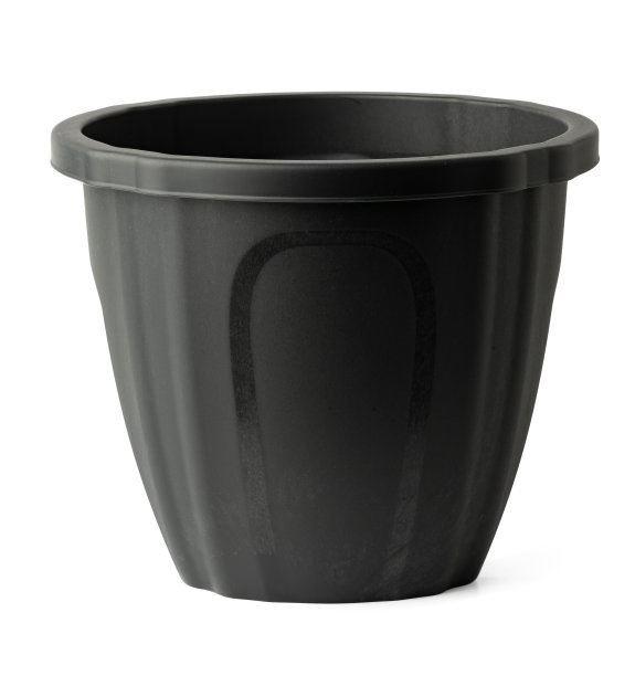 白色隔离室内植物的塑料花盆图片下载