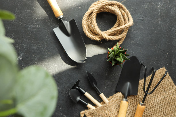 园艺工具在深色的木制背景与空间文本顶视图图片下载