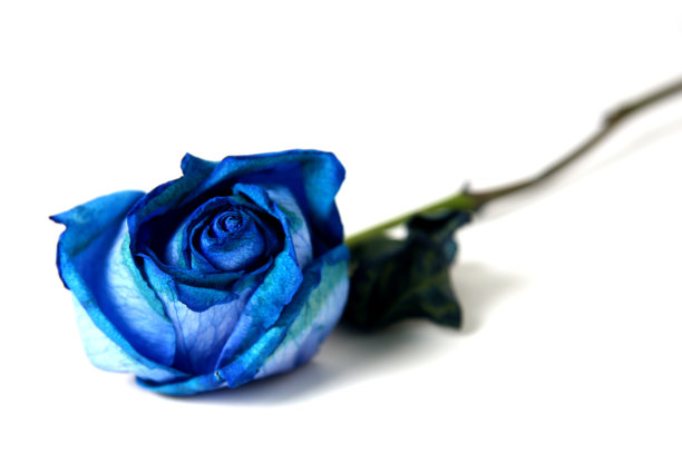 蓝色的图片下载