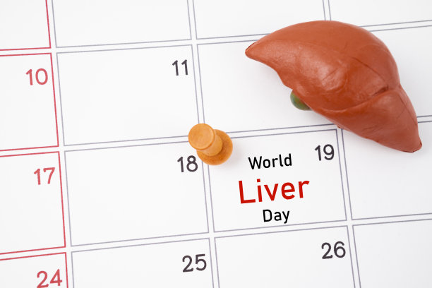 4月19日日历和肝人人工用木推销。世界肝脏日概念。图片下载