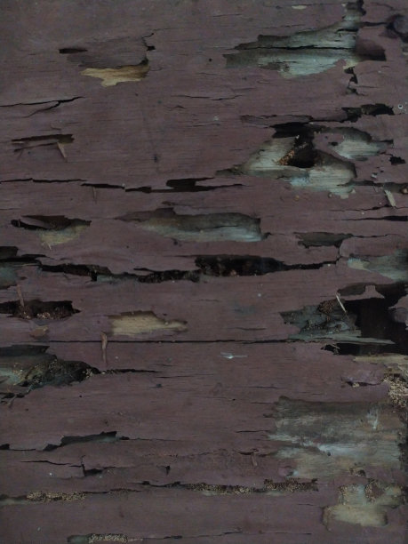 风化木材背景照片图片下载