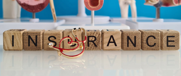 文本健康保险听诊器和人体器官模型图片下载