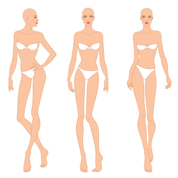 女性身体模板图片下载