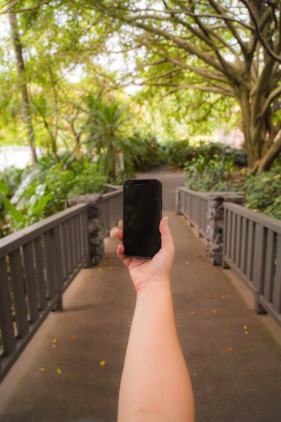 在桥上手持智能手机图片下载