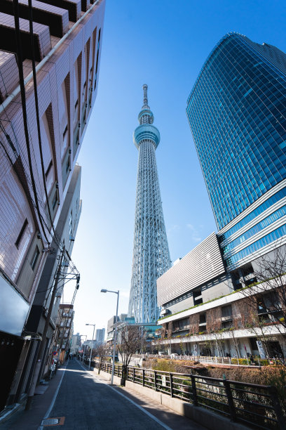 日本东京河边的东京天空树图片下载