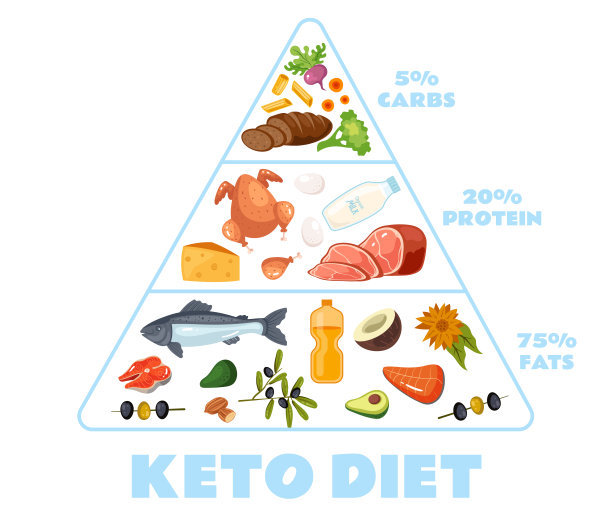生酮饮食生酮金字塔蛋白质健康概念。矢量图形设计说明图片下载