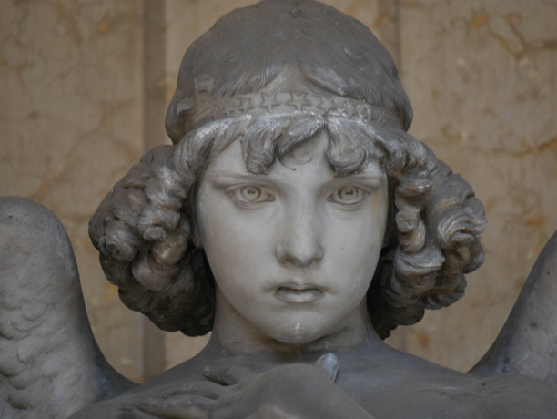 复活天使图片下载