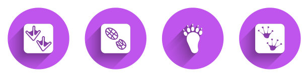 设置鹅爪脚印，人脚印鞋，熊和青蛙图标与长影子。向量图片下载