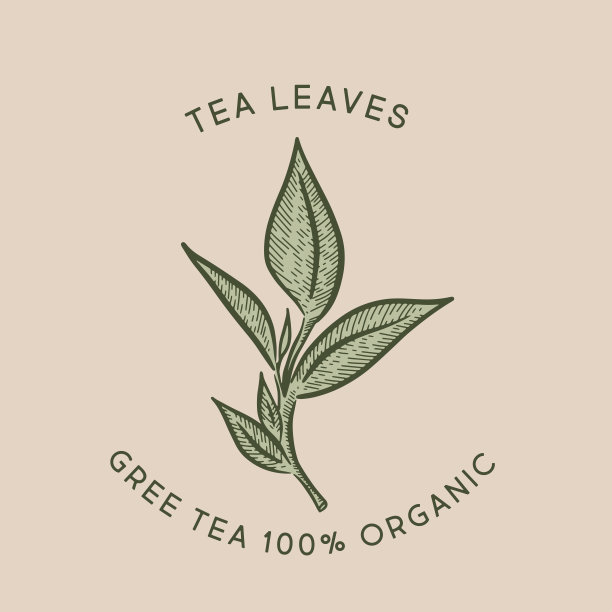 绿茶。手绘，矢量。图片下载