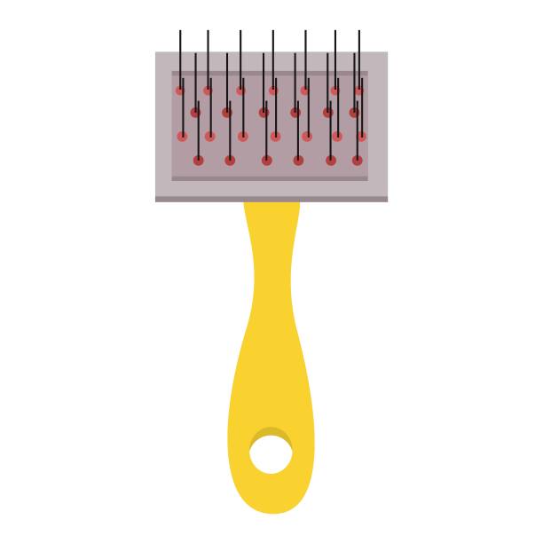 梳理动物皮毛，猫，狗，动物护理。图片下载