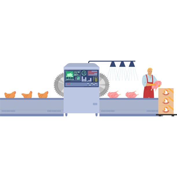 鸡肉生产过程阶段矢量家禽养殖图标图片下载