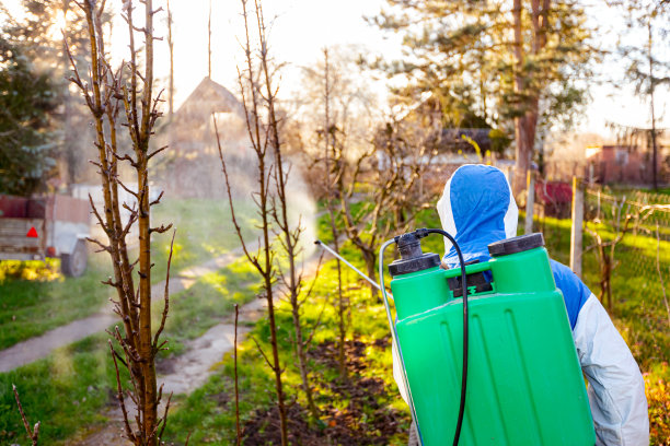 后视图园丁在保护整体喷洒果树与长喷雾器在果园图片下载