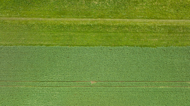 农业领域-鸟瞰图图片下载