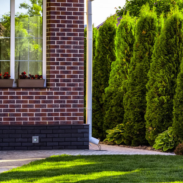 后院设计元素图片下载