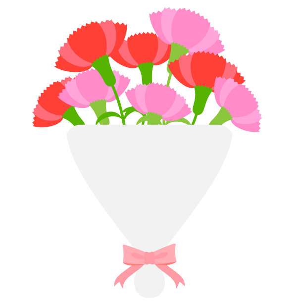 康乃馨花束图片下载