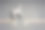 那匹灰马从一边跳到另一边图片下载