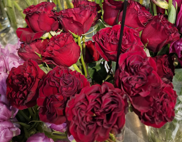 商店里有奇异的花图片下载