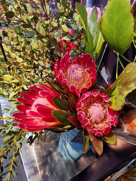 商店里有奇异的花图片下载