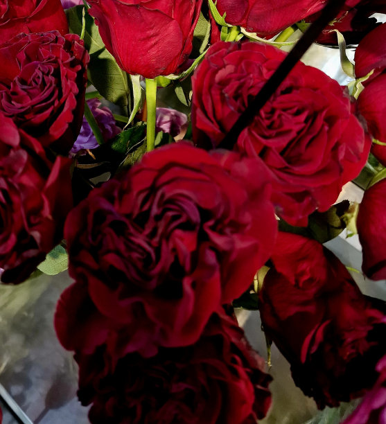 商店里有奇异的花图片下载