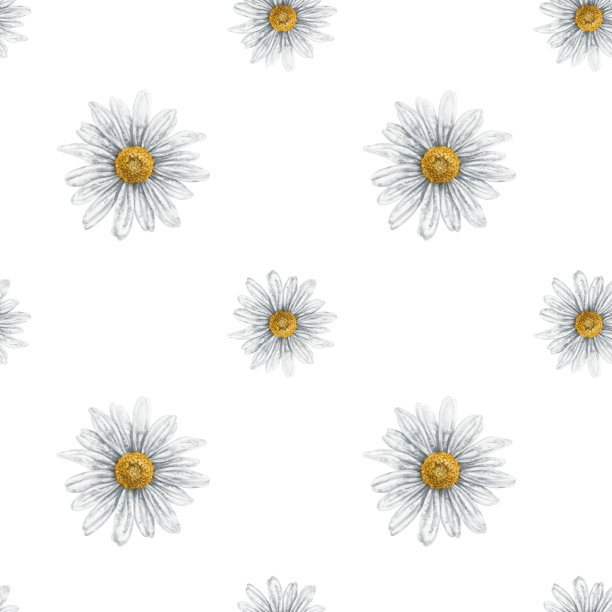 无缝手绘图案与白色洋甘菊。花卉背景用于纺织品、织物、横幅、包装纸等设计。白色背景上的数字插图图片下载