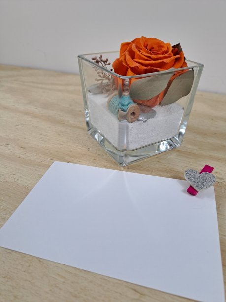 贺卡与白纸卡和花卉图案与稳定的玫瑰花图片下载