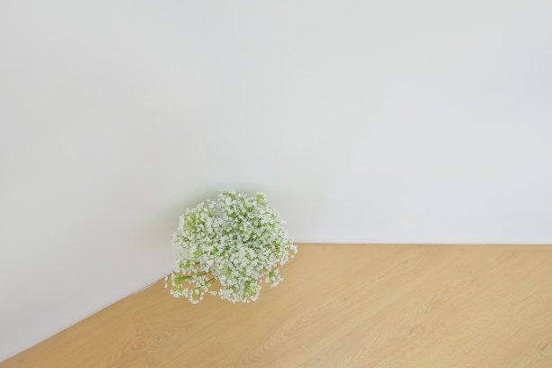 一张鲜花的照片放在客厅里，适合情感上的协调图片下载