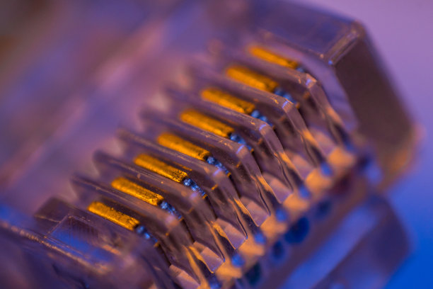 以太网电缆连接器的宏观特写图片下载