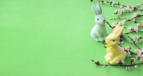 一对复活节兔子和在绿色的表面上开花。空的空间图片下载