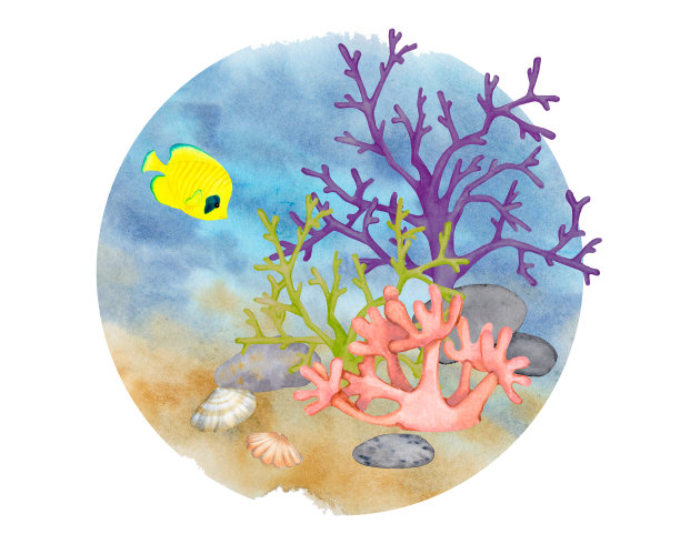 海底。水彩作品。珊瑚礁，贝类，热带鱼。用于标识，标签，海报，印刷品，明信片，文具的插图。图片下载