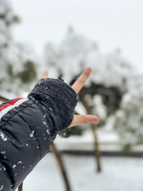 特写镜头的一个女人的手在雪地公园的背景图片下载