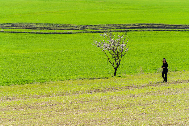 大自然的摄影师图片下载