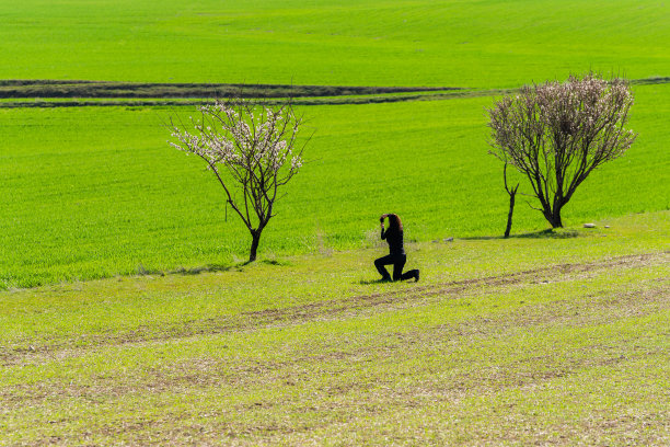 大自然的摄影师图片下载