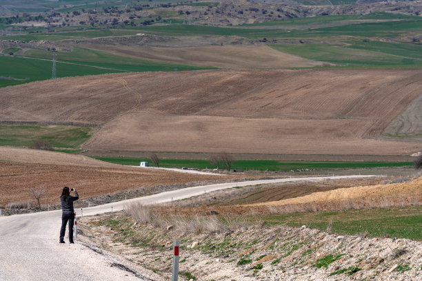 大自然的摄影师图片下载