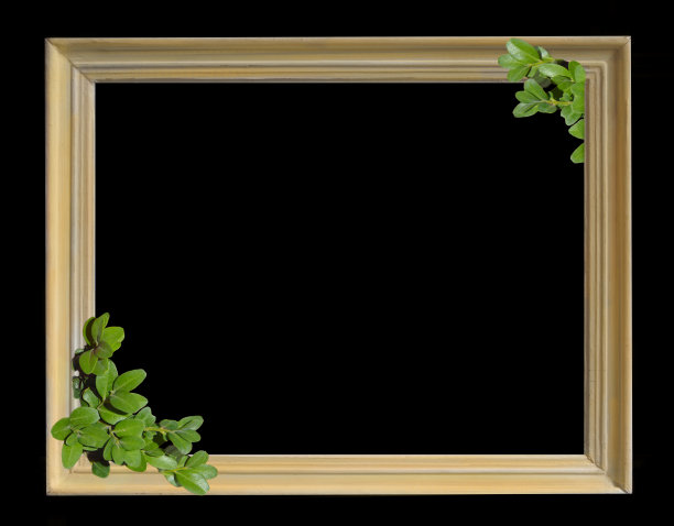 白色框架，黑色背景，绿色树叶。图片下载