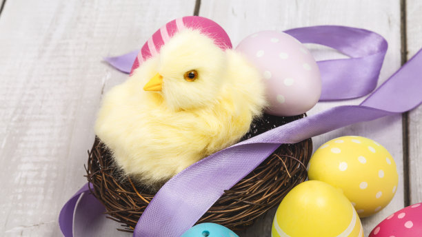 彩色的复活节彩蛋和小鸡。复活节卡片图片下载