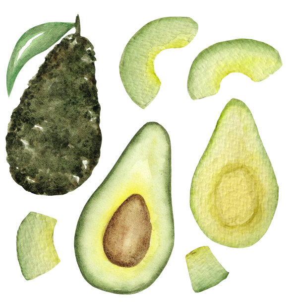 水彩系列，各种牛油果切割孤立在白色背景。图片下载