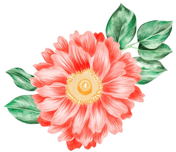 水彩热带花图片下载