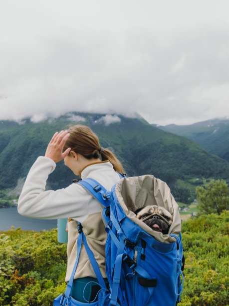 侧视图的妇女与她的狗在背包徒步旅行在挪威的山区图片下载