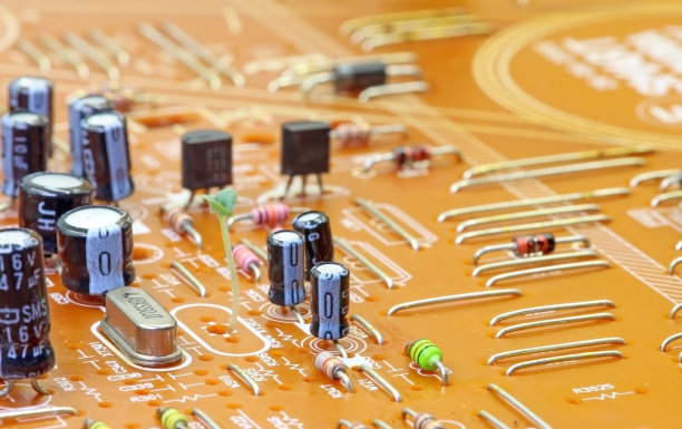 电子电路板中间的小植物或发芽的种子。自然自有其路图片下载