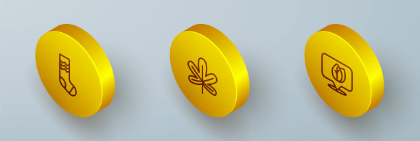 设置等距线袜子，栗子叶和位置与图标。向量图片下载