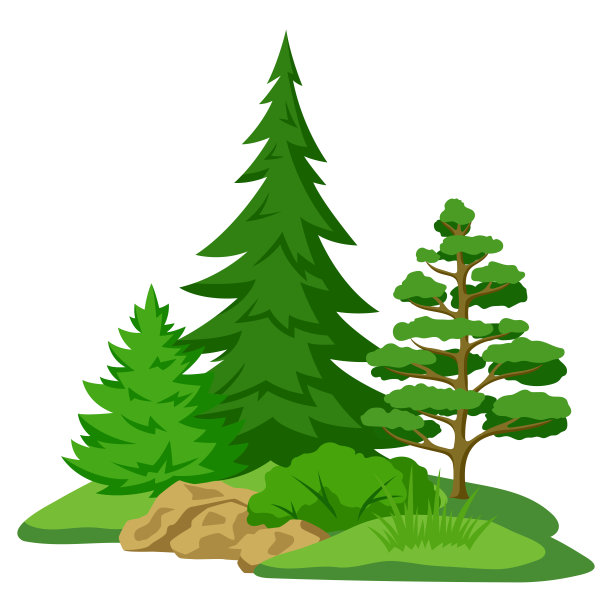 春夏森林。背景与程式化的树木。季节性的插图。图片下载