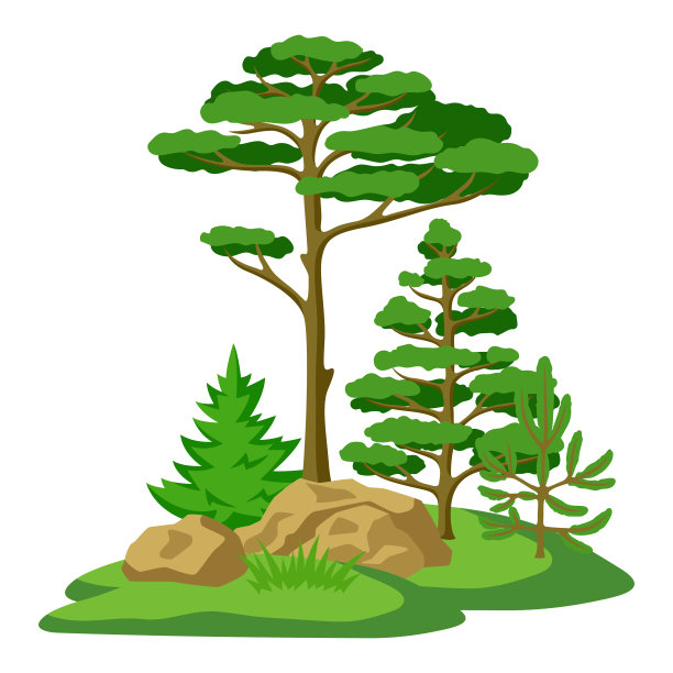 春夏森林。背景与程式化的树木。季节性的插图。图片下载