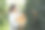 来自橘子农场的女农民。园丁把橘子收集到篮子里。微笑的农民在农贸市场上拿着新鲜的橙子出售。橘子农场经营理念。图片下载