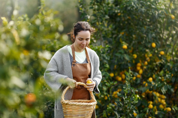来自橘子农场的女农民。园丁把橘子收集到篮子里。微笑的农民在农贸市场上拿着新鲜的橙子出售。橘子农场经营理念。图片下载