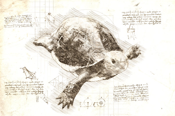 达·芬奇风格的亚洲龟素描。图片下载