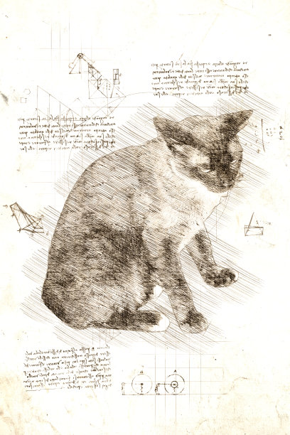 达芬奇风格的棕色猫素描图片下载