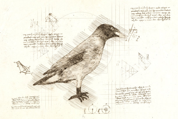 热带鸣禽素描图片下载