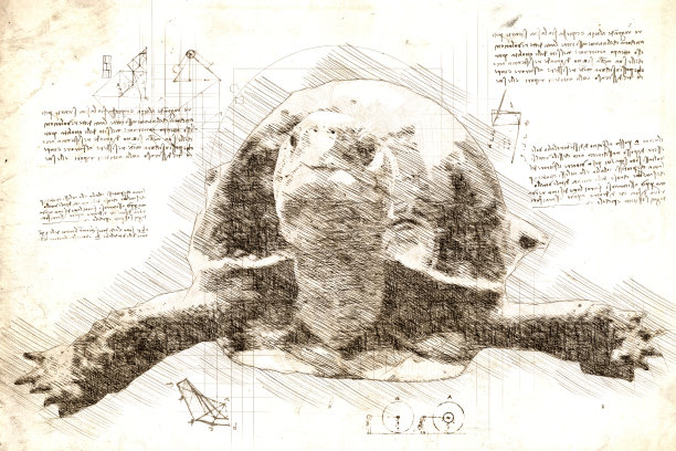 特写达·芬奇风格的移动乌龟素描图片下载